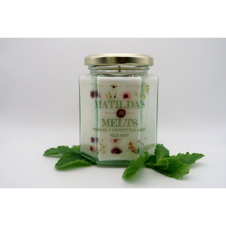 Matilda's Melts Wild Mint Scented Wax Melt Candle Wayfair.co.uk